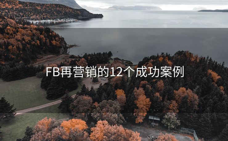 FB再营销的12个成功案例