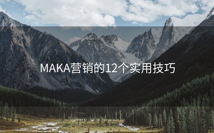 MAKA营销的12个实用技巧