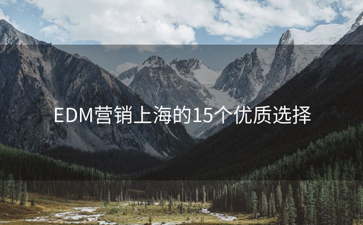 EDM营销上海的15个优质选择